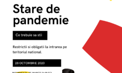 Germania – stare de pandemie
